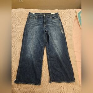 American Eagle Dreamy Drape Low Rise Baggy‎  Wide Leg Jeans Size 16 33w NWT